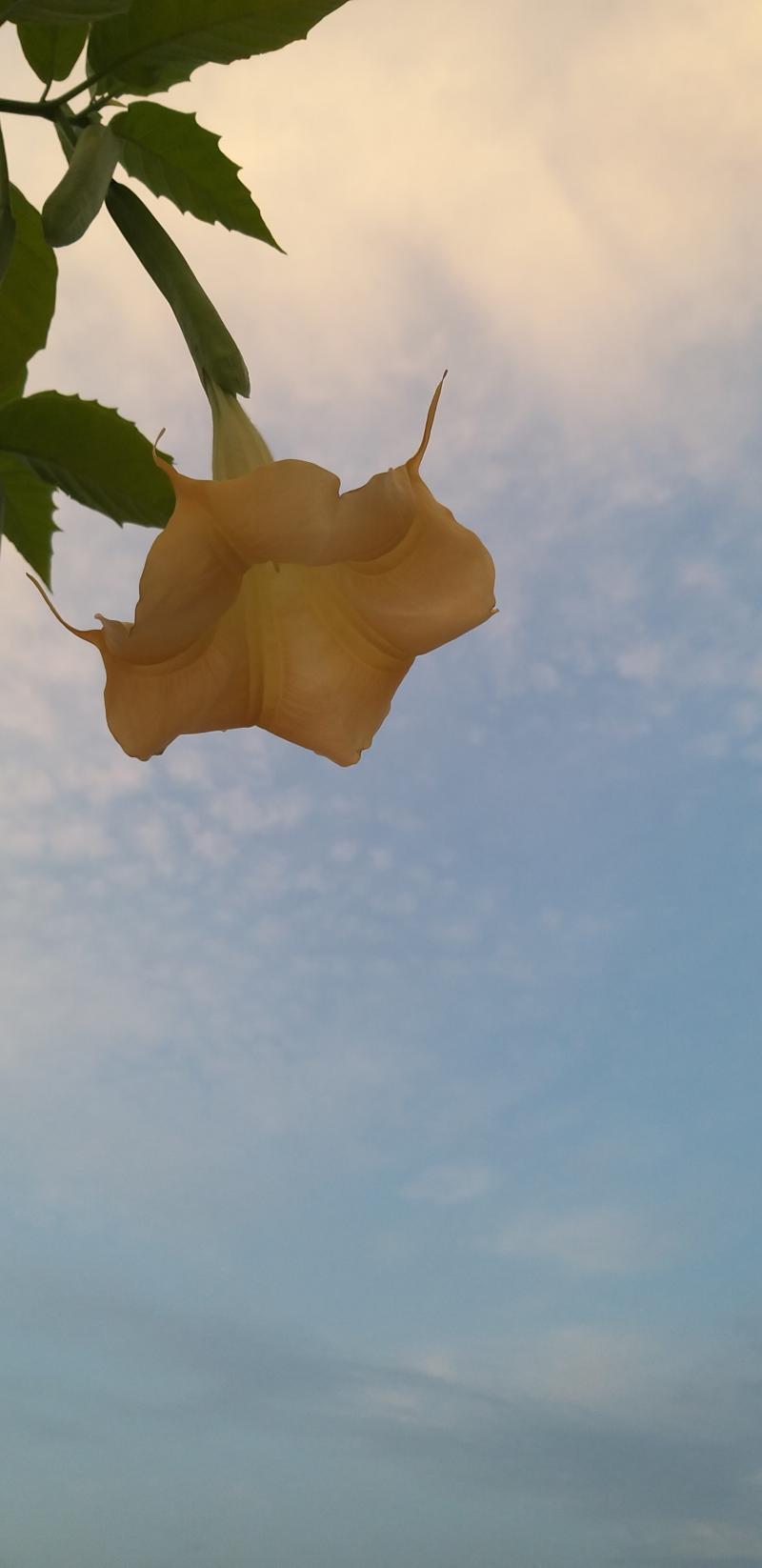위 전 아래 후 좀 칙칙한 것 같았어