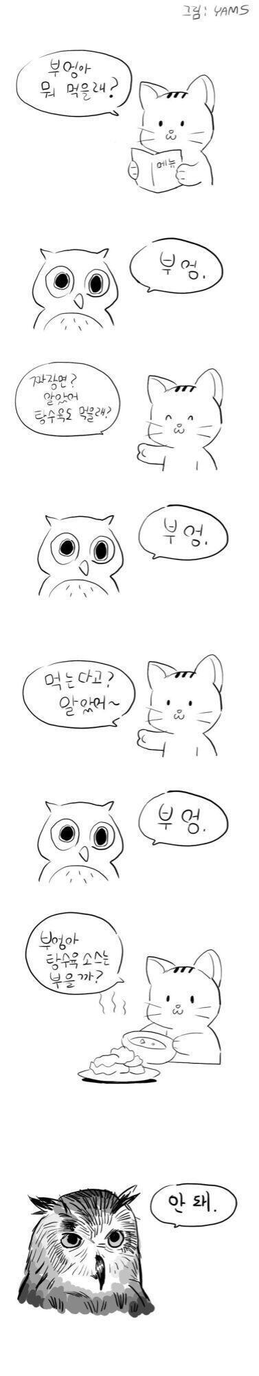 부엉
