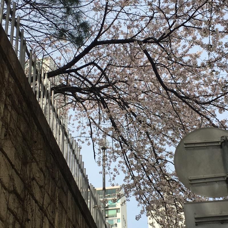 여깅~!~!~!