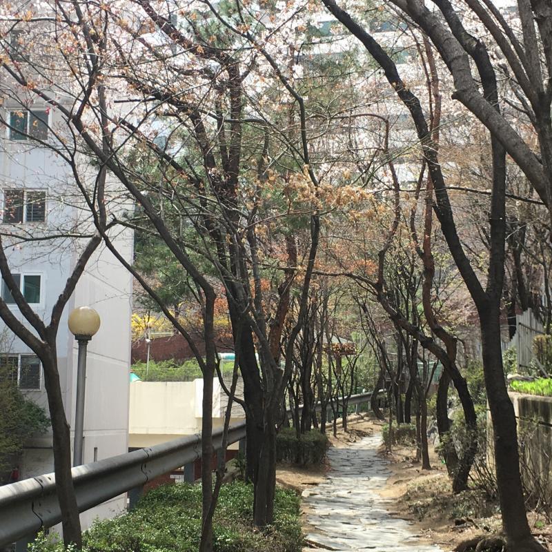 비슷한 사진이지만 못고르겠는걸!