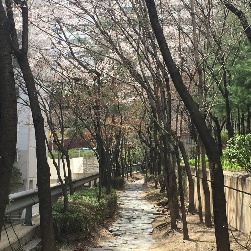 비슷한 사진이지만 못고르겠는걸!