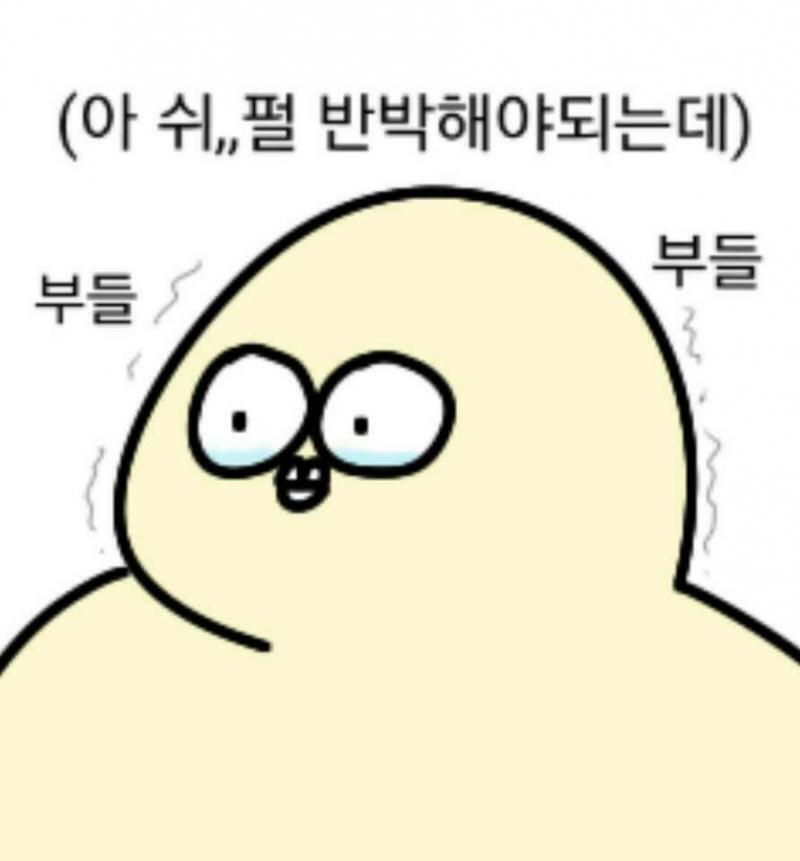 다들 하나씩은 있을법한 짤들?...ㅎ.ㅎ...