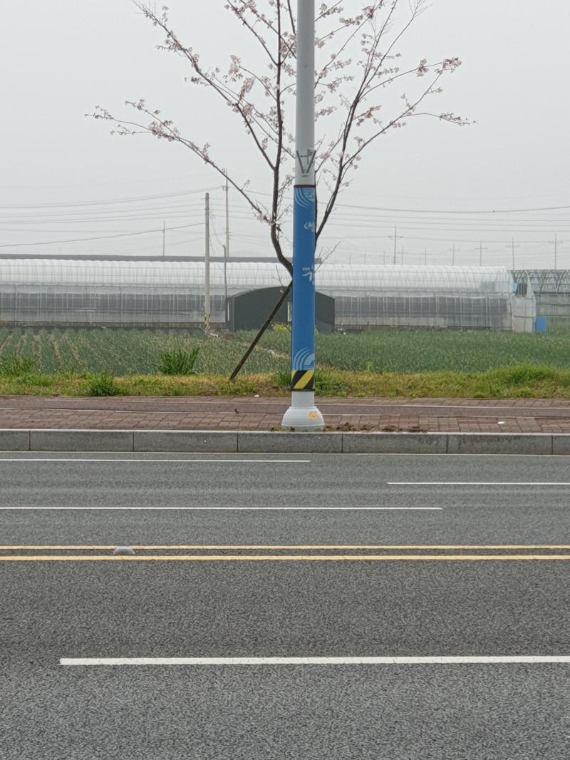 오늘 아침에 버스 기다리는데 반대편에서 참새들이 정모하고 있더라 저 갈색 무언가 옹기종기 있는게 다 참새임 ㅋㅋㅋㅋㅋㅋㅋㅋㅋ 참새들 저렇게 많이