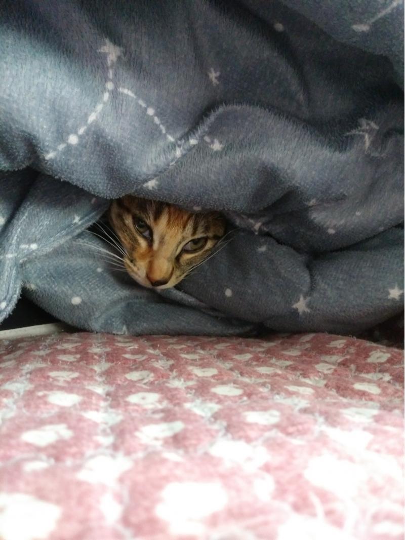흐히힛