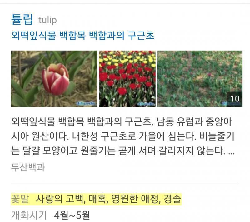 고백..??