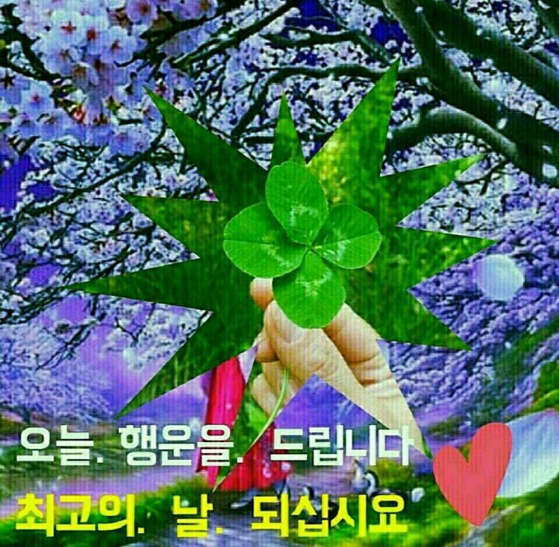 >>18 오웅...174 64면 말랐네...질문에 진짜 정확하게 대답해줘서 진짜 고마워ㅜㅜ레스주 진짜 착하다...내가 레스주 정성 때문이라도 컨
