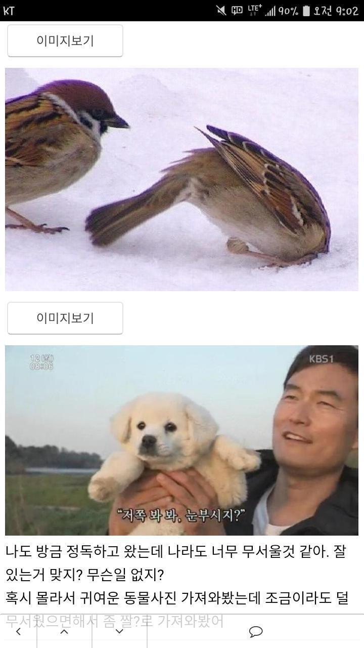 억지로 웃을 필요는 없지만 레주에게 행복한 일이 있길! !!