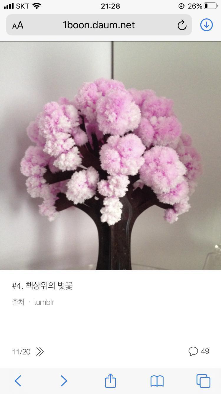 장식품 보고 예쁜 쓰레기라고 하는 거 진짜 대가리에 똥만 찬듯