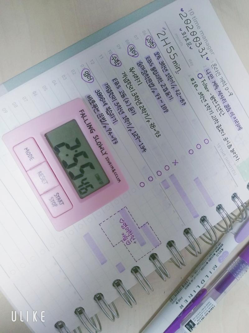3월 31일 인증