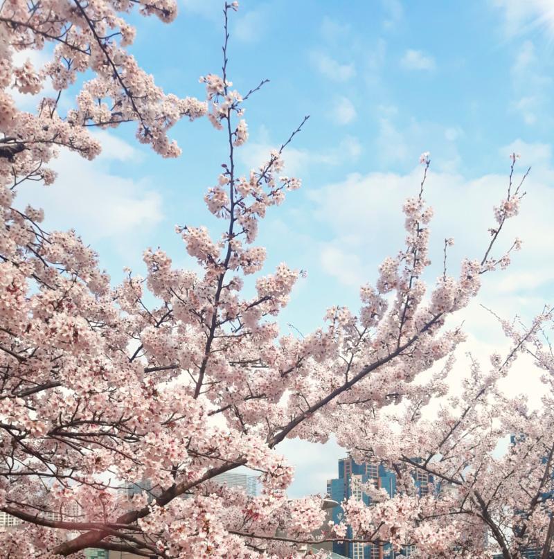 집앞에서 찍은 사진
