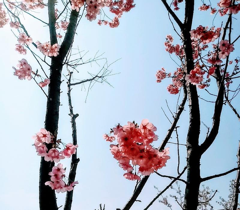 집 앞+필터
