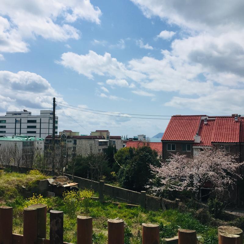 아 두번째는 벚꽃 잘 안보이고 세번째는 필터 너무 심함듯.... 이쁜거 많은데 사진이 세장밖에 안올라가 ㅜㅜ