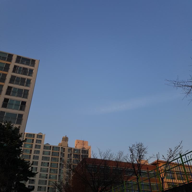 내 방법대로 찍은 사진들이야!