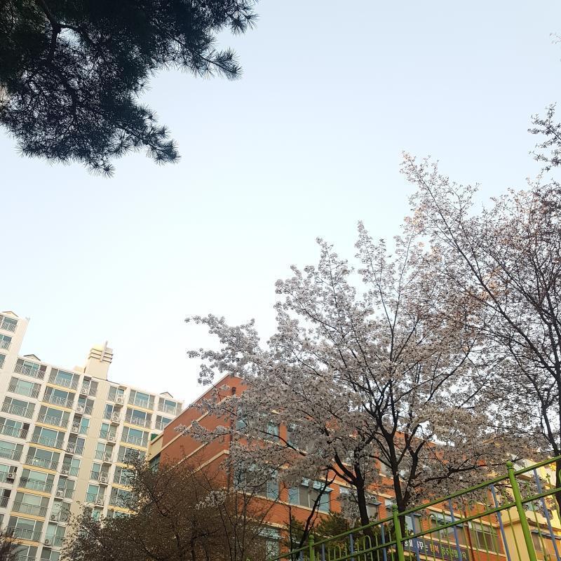 첫번째 전 두번ㅁ재 후