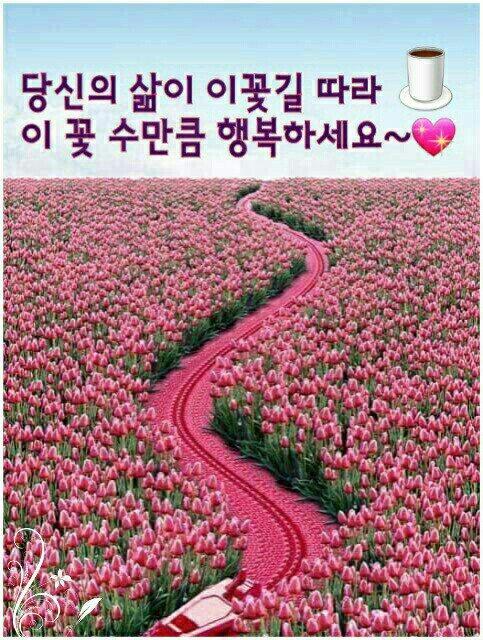 >>8 움메나..말투가 매력있다니..이건 촴 괌덩적이다..ㅠㅠ 레스주도 좋은 하루 보내요잉~~^^