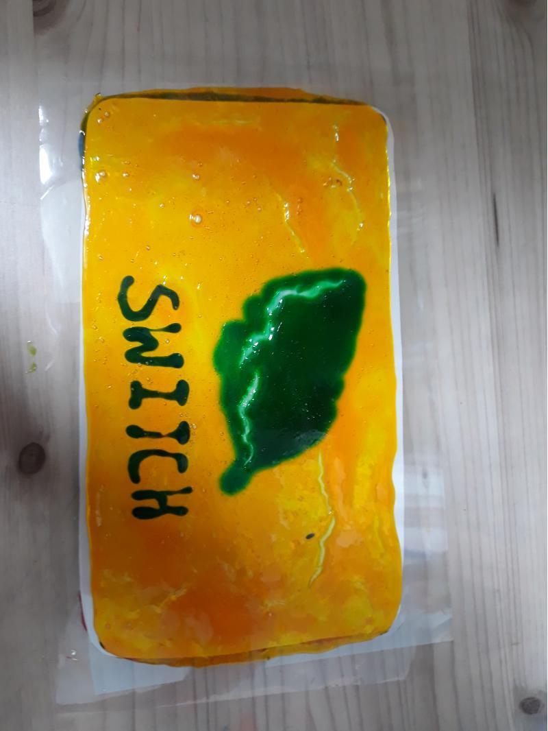 케이스