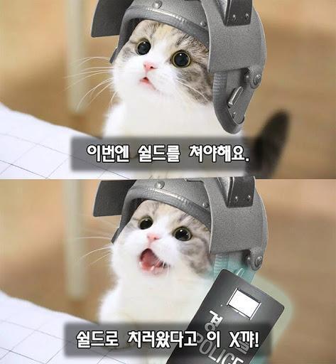 현 초딩 일진이다. 쉴드 치러옴.