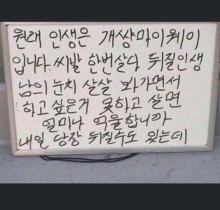 이거 봐 살다보면 니가 아무리 조심히 살아도 널 싫어할 사람은 있을 거야 그리고 너를 좋아해 줄 사람은 니가 있는 그대로 살아도 똑같이 좋아할