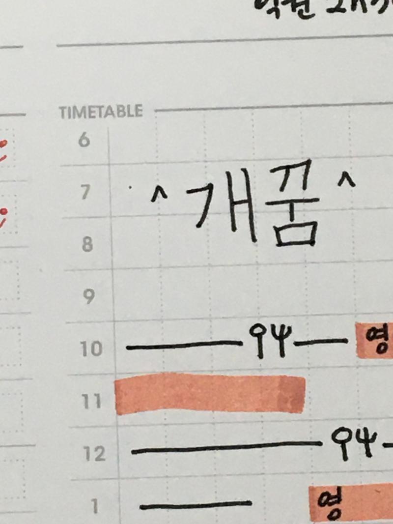 형광팬 색부터 존망이죠