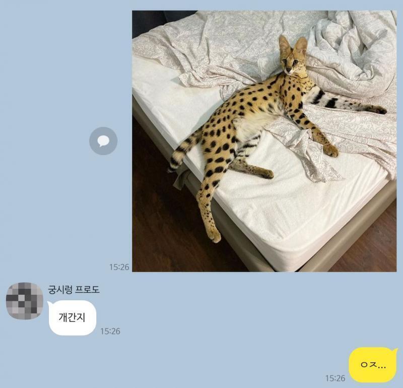 카톡자체의 기능해서 캡쳐를 뜨면 안 그럼