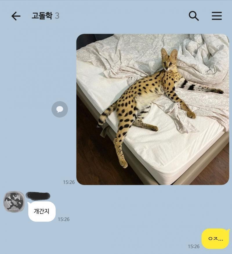 폰 자체에서 캡 뜨면 사진윤곽이 둥글둥글한데