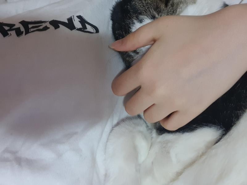 >>28 낄낄 내손은 고양이 만지는 데 쓴당~