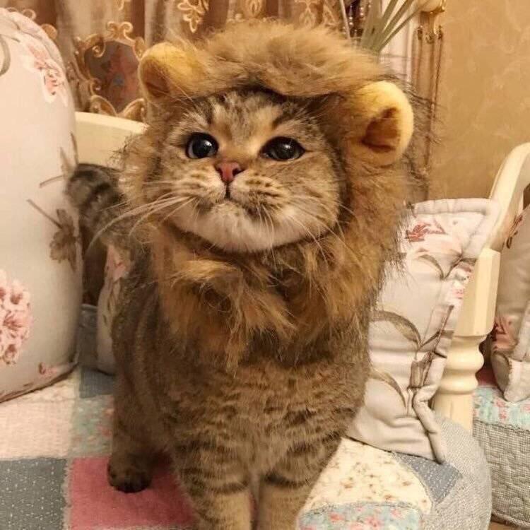 기 기요미