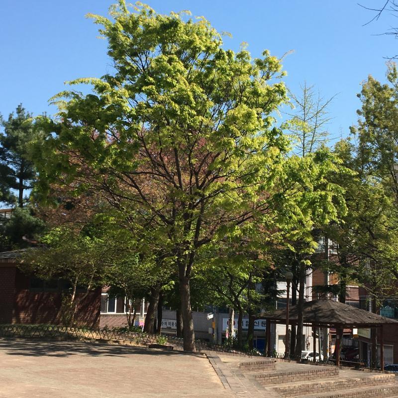 사진 찍는데 별 재주는 없지만 올려볼겡