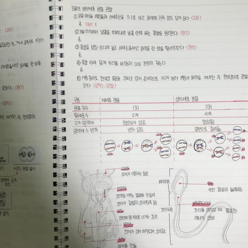중 3 때 중 2때는 글씨 진짜 못썼다....