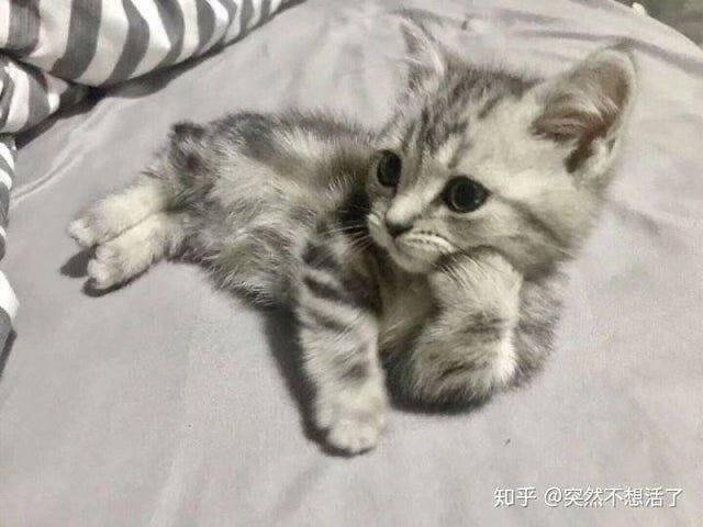 기 기요미