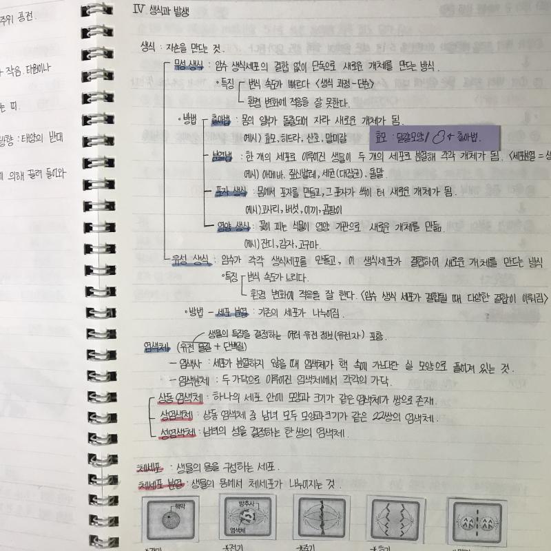 중 3 때 중 2때는 글씨 진짜 못썼다....
