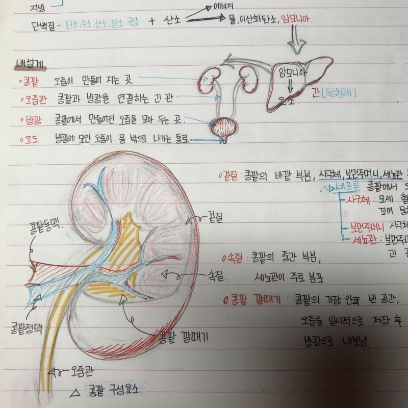 중2때
