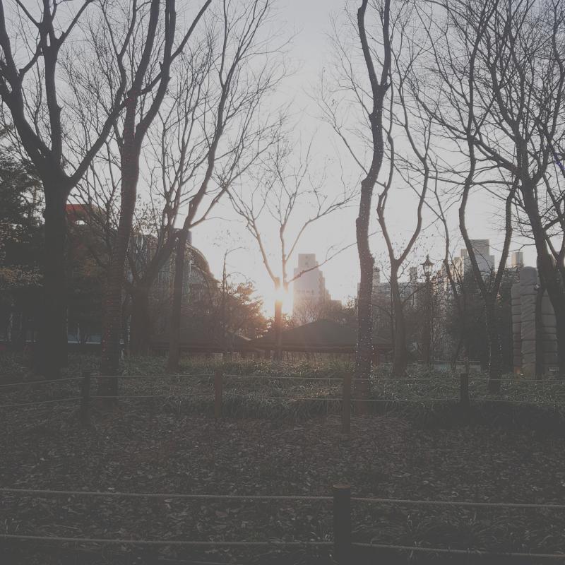 요새는 잘 안나가서 다 2년전에 직접 찍었던 사진들이야!