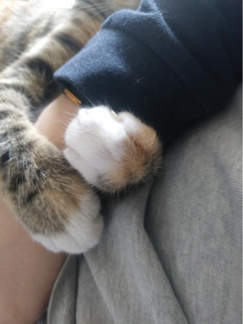 희희