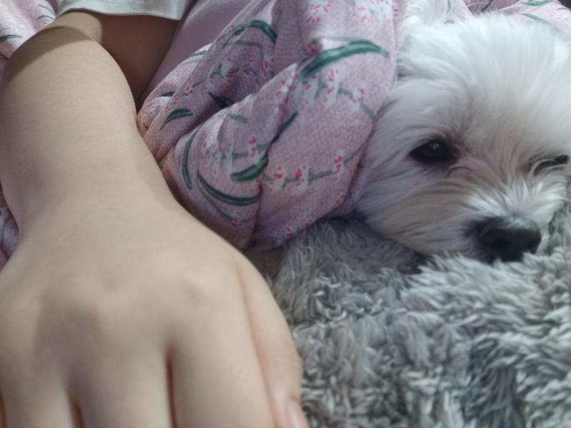 애기한테 팔 올리면ㄴ 개편해 신기한건 애기도 좋아함 안아주는거같나봥ㅎㅎ