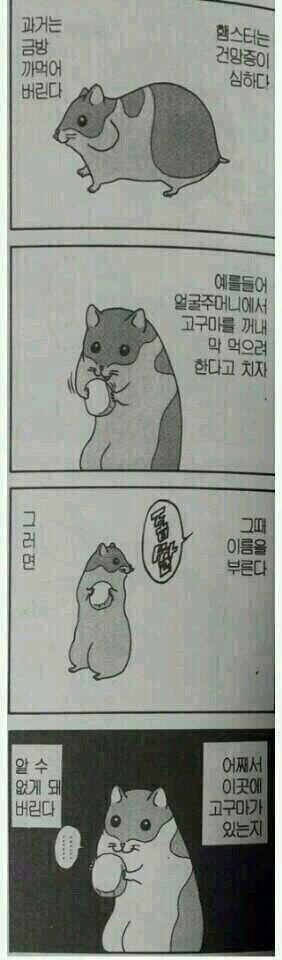 기억력이 나쁜 햄스터 만화