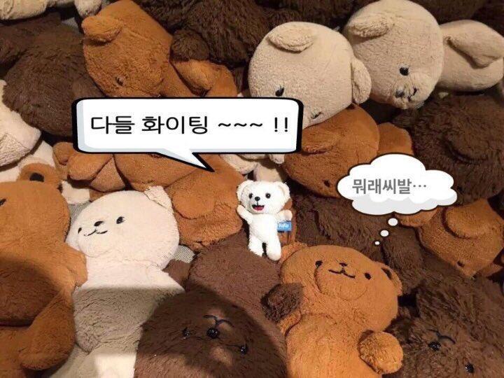 이거 나만 귀엽니....? 나 이거 최애짤이야