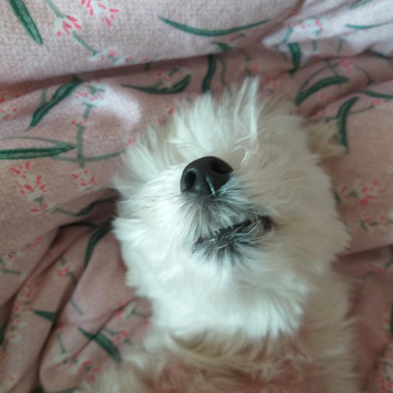 사진이 죄다 자는거네..?