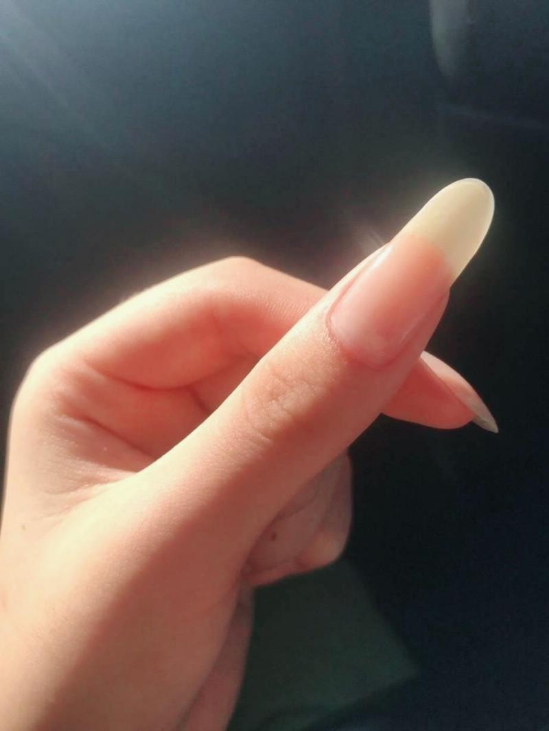 따란따란