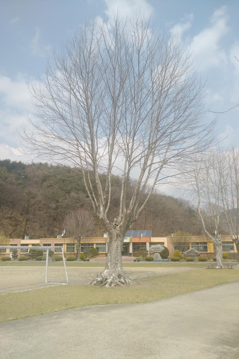 >>93 >>94 보산원초등학교 느낌