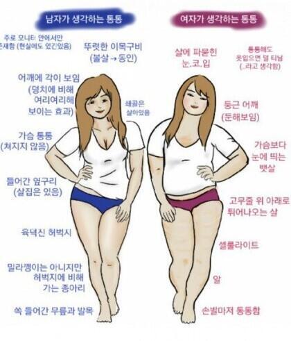 >>12 좋은 짤이 있었네. 뭐랄까 남자가 생각하는 통통은 마르지 않고 좀 적당히 살집이 있는거고 여자가 생각하는 통통은 남자가 생각하는 뚱뚱이