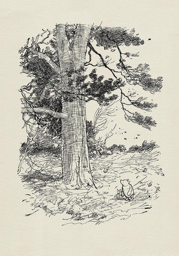 E.H.셰퍼드가 그린 곰돌이 푸 삽화. pooh climbing a tree 페이지 레이아웃은 지금 봐도 너무 최고야. 디즈니의 푸도 좋아하지만
