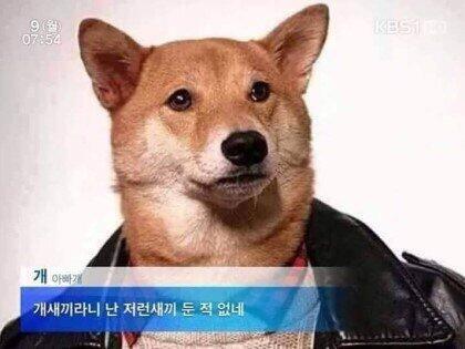 아이엠 타노스 아무도 나를 모르고 돈이 많았으면 좋겠어 개새끼라니