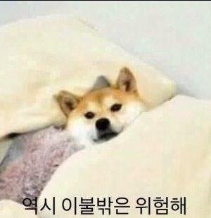 돈세탁 이불밖은 위험해 좆토피아