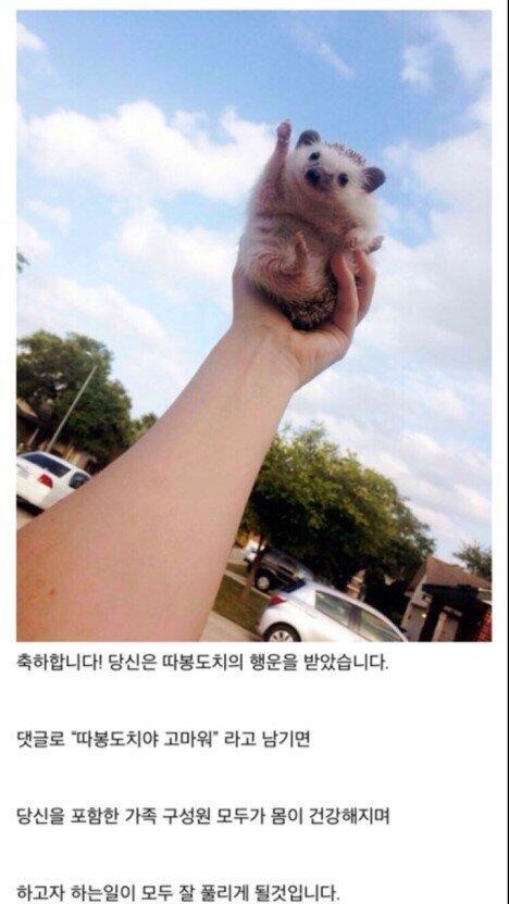 응...기분 풀리면 말해.... 따봉도치 속세 토끼