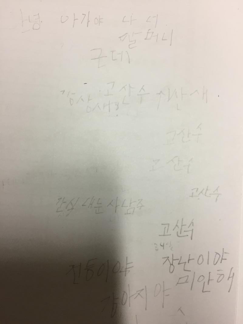 앗 또썼다 사진올려줄게 글 뜻은 나도 모르겠어... -안녕 아가야 나 너 할머니 -강상새? -전등이야 -고산수 여러개 -간식내눈사남주 -장난이야