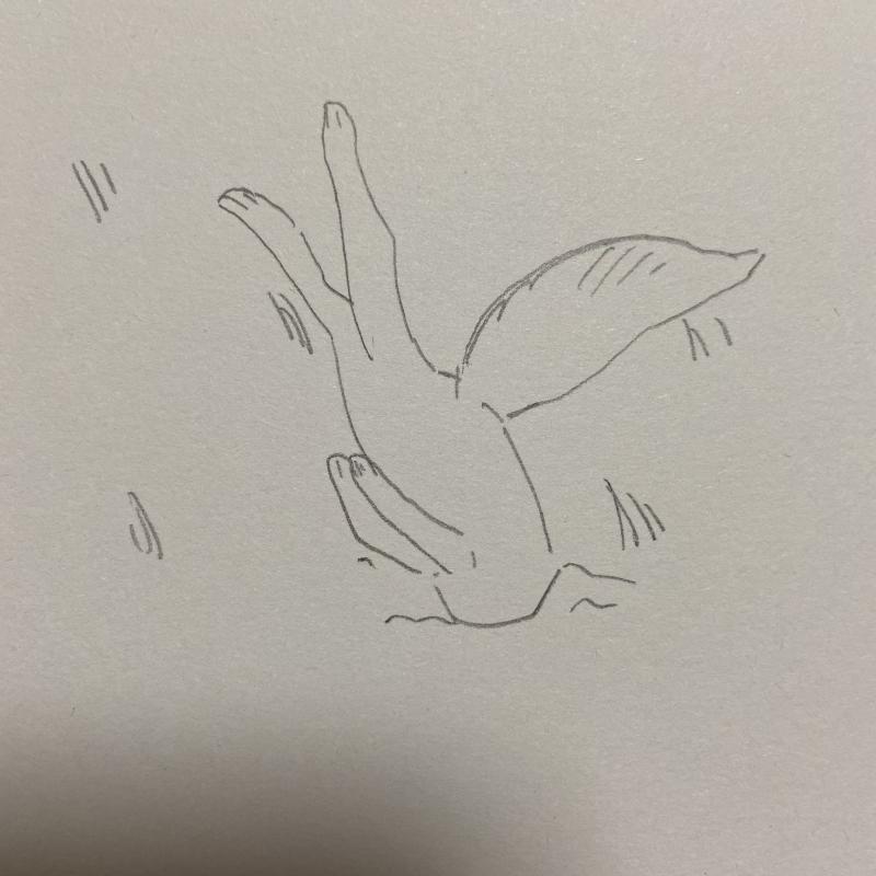 >>4 아니 나 여우 사냥 생각하면 이것밖에 안떠올라ㅋㅋㅋㅋㅠㅠㅠㅜ