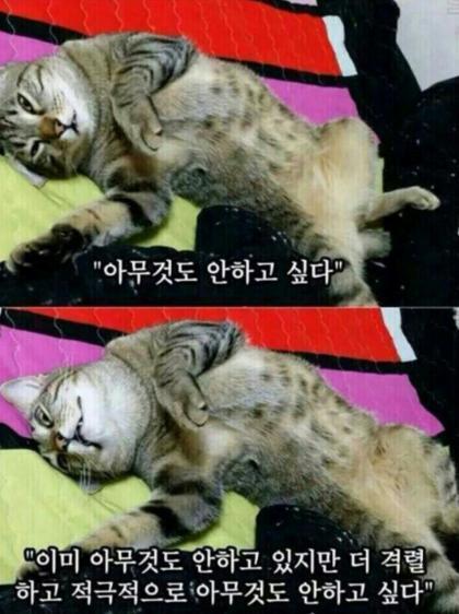 소환 아무것도 안하고 싶다 돈을 아껴써야 해요