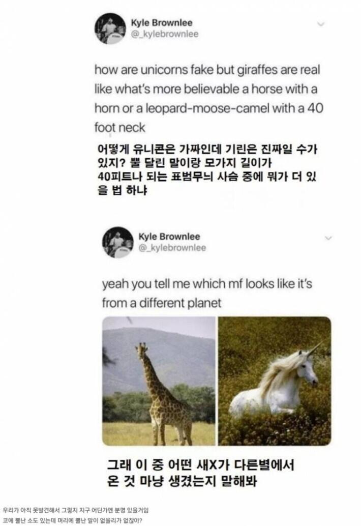 (깜놀주의) 왜 또 칭얼거려 꺄르륵 어떤 세끼가 다른 행성에서 왔지?