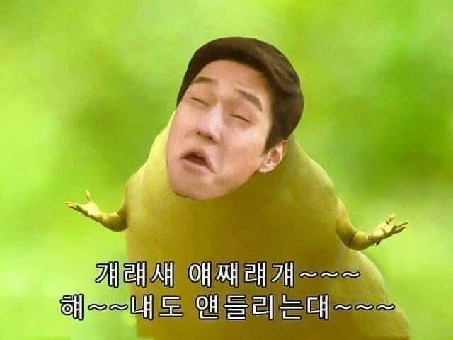 자주 쓰는 짤2 짤 이거말고도 너무 많지만 얘네가 제일 잘 쓰일만한 거